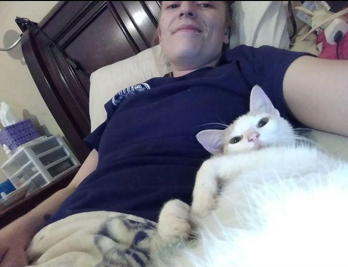 Cat selfies: Zeus